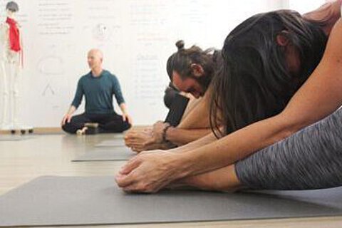 Yin Yoga & Anatomie Teacher Training I