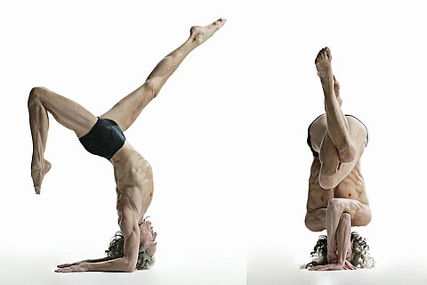 Tripsichore Yoga