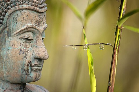 Mantra Singen Mantra Singen